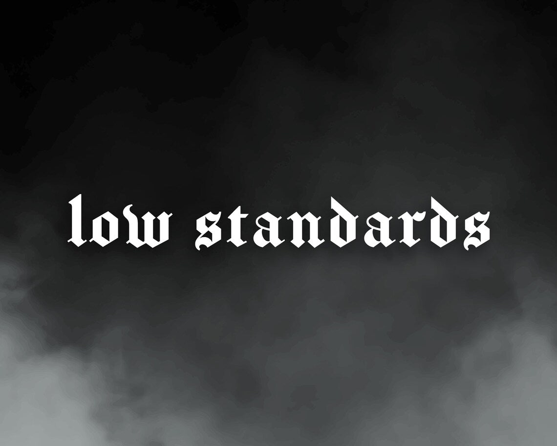 low standards vinyl decal ‧ customisable car stickers